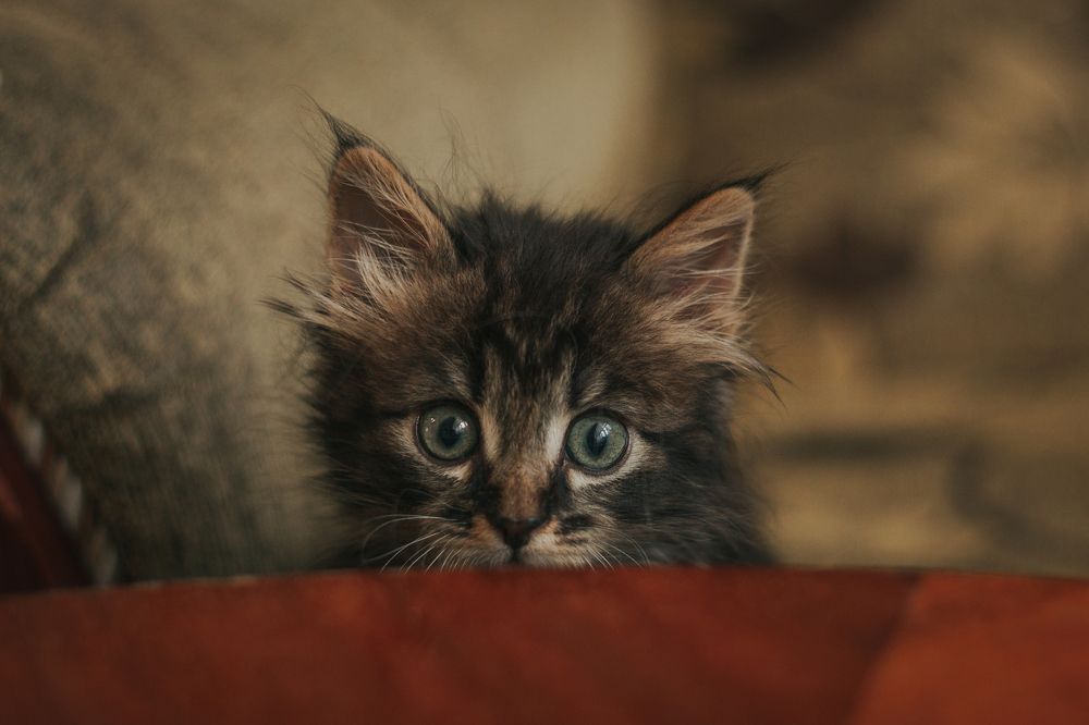 Photograph by Ксения Бабаева