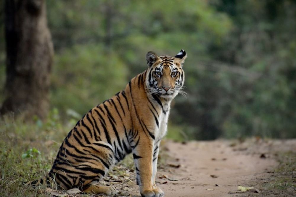 Photograph by Preet saluja