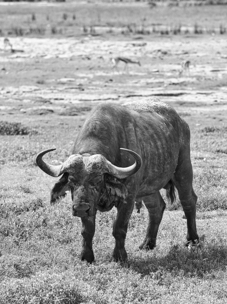 Photograph by Anatoly Serebrennikov