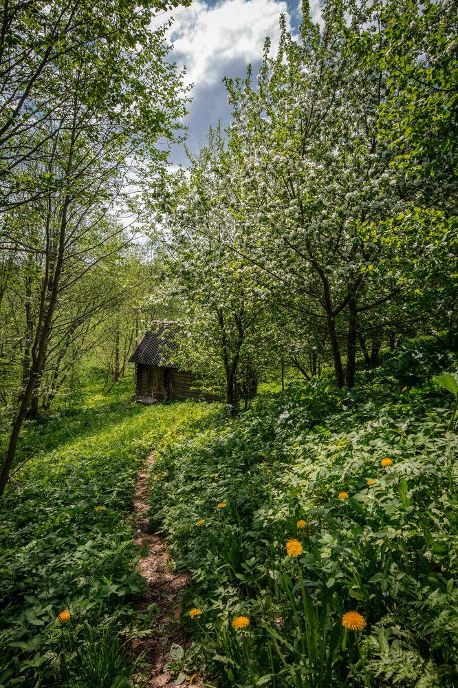 Photograph by Ольга Сафронова