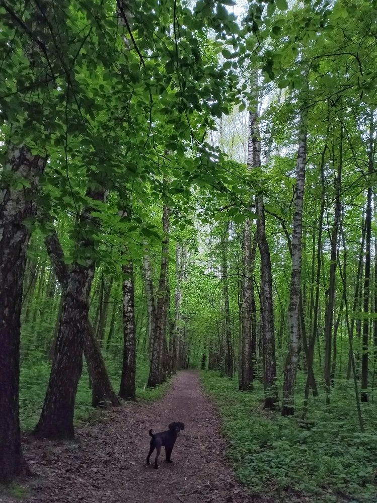 Photograph by Ольга Дорошенко