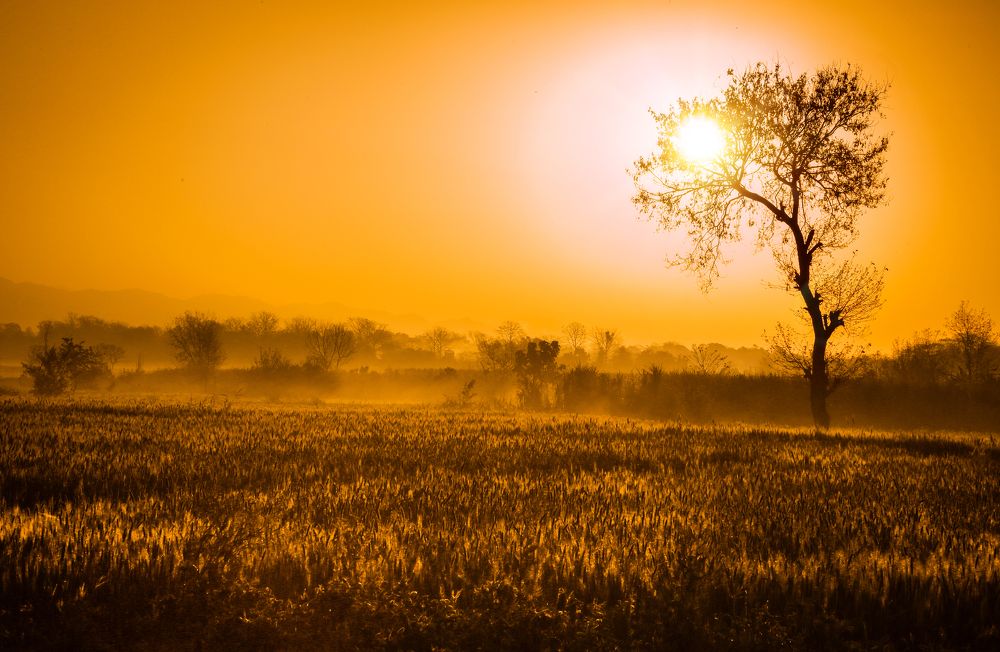 Photograph by Photography Sr