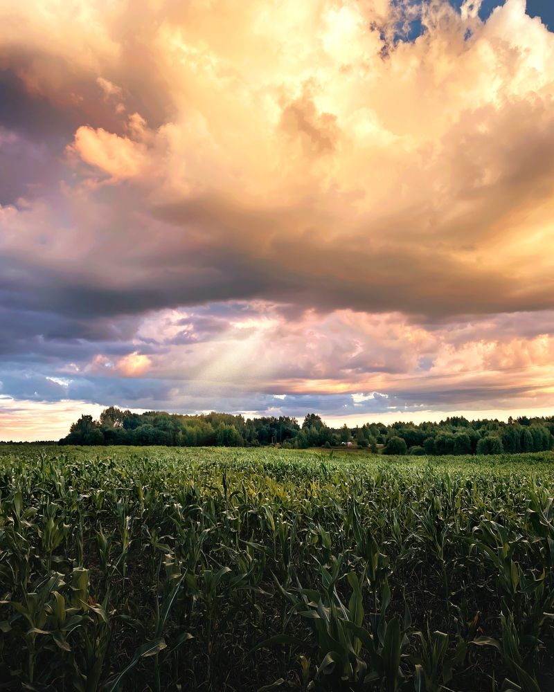 Photograph by Сергей Протасов
