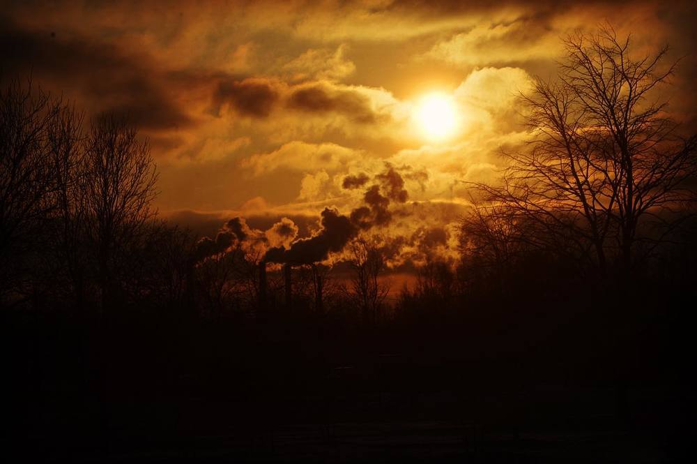 Photograph by Davit Medzmariashvili