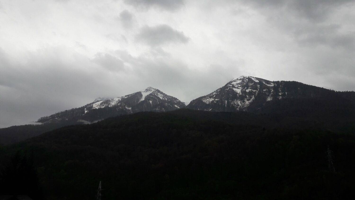 Photo #6131731