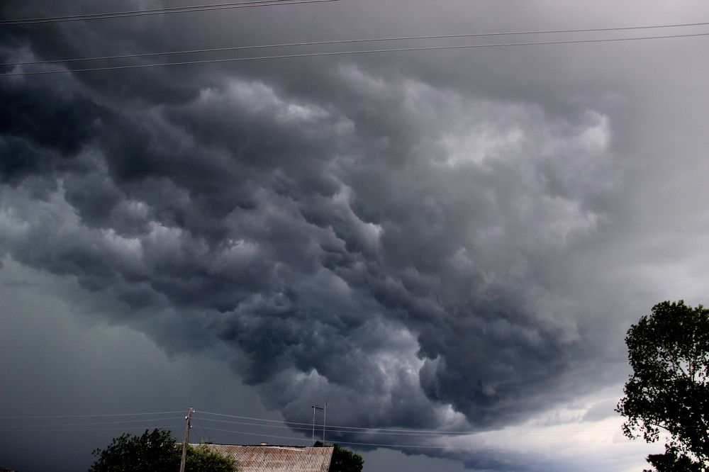 Photograph by Pavel Palkin