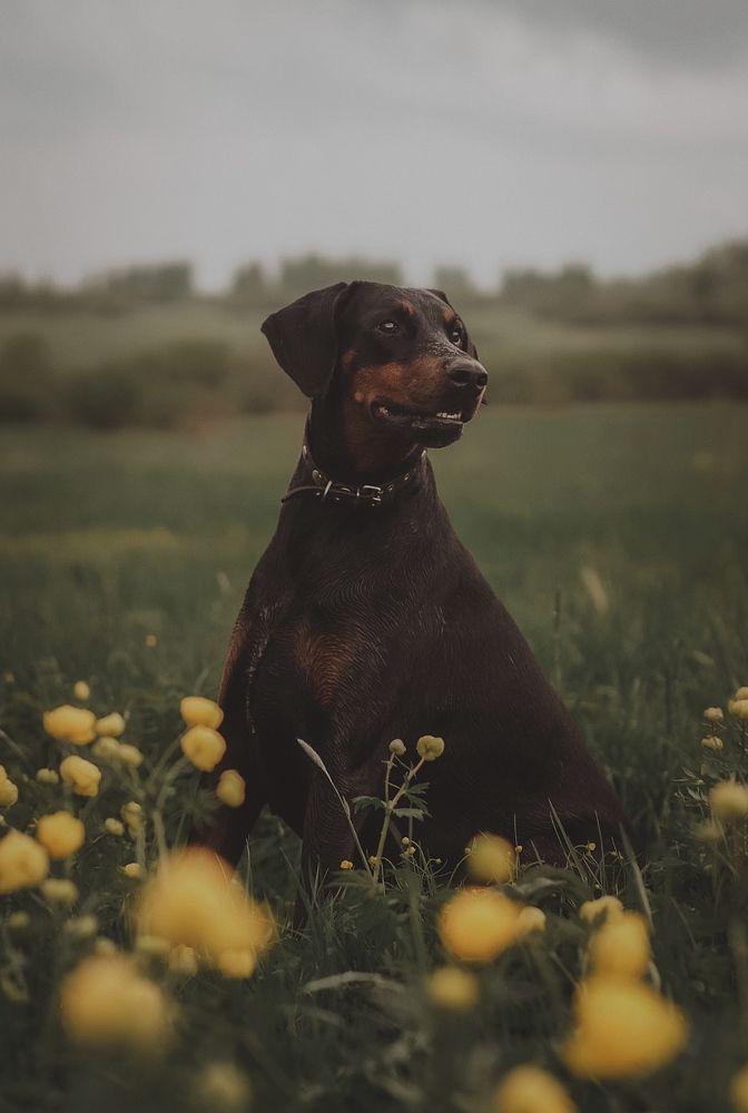 Photograph by Барышникова Елизавета