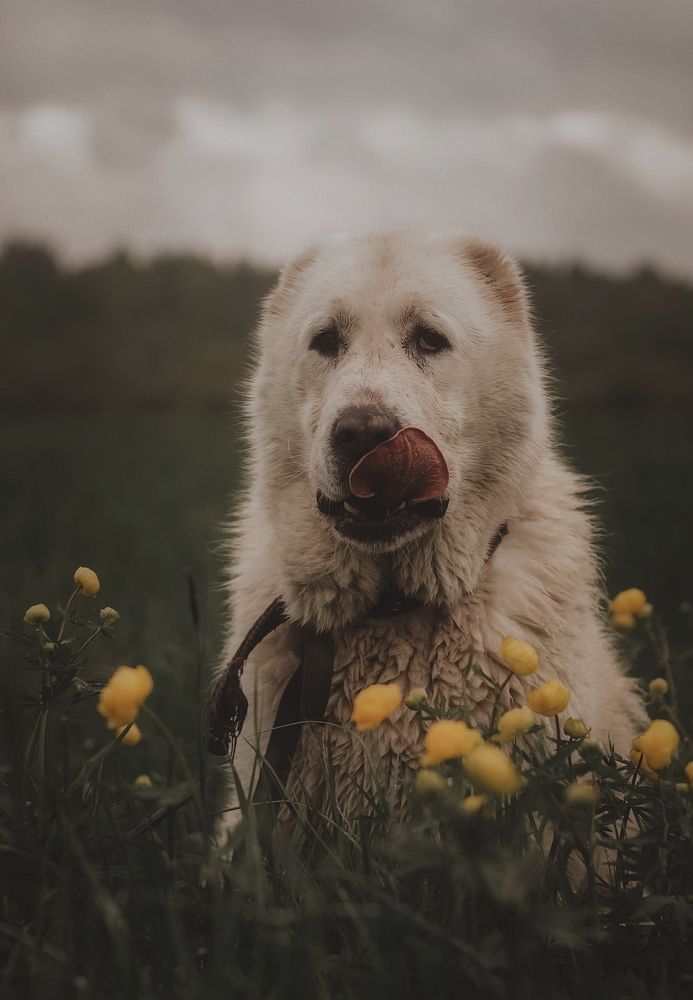 Photograph by Барышникова Елизавета