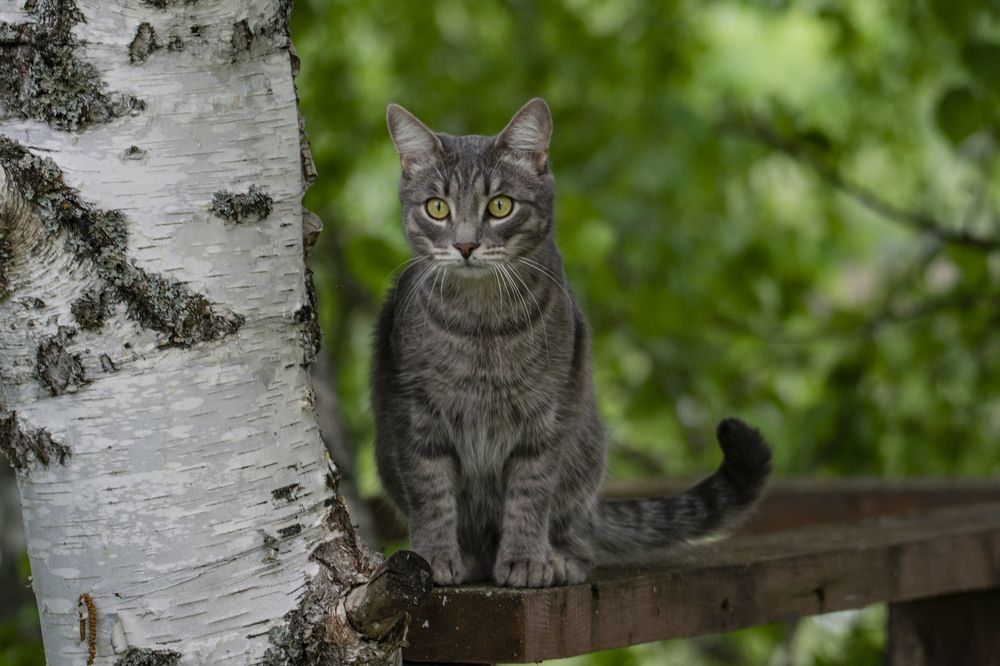 Photograph by Алексей Логинов