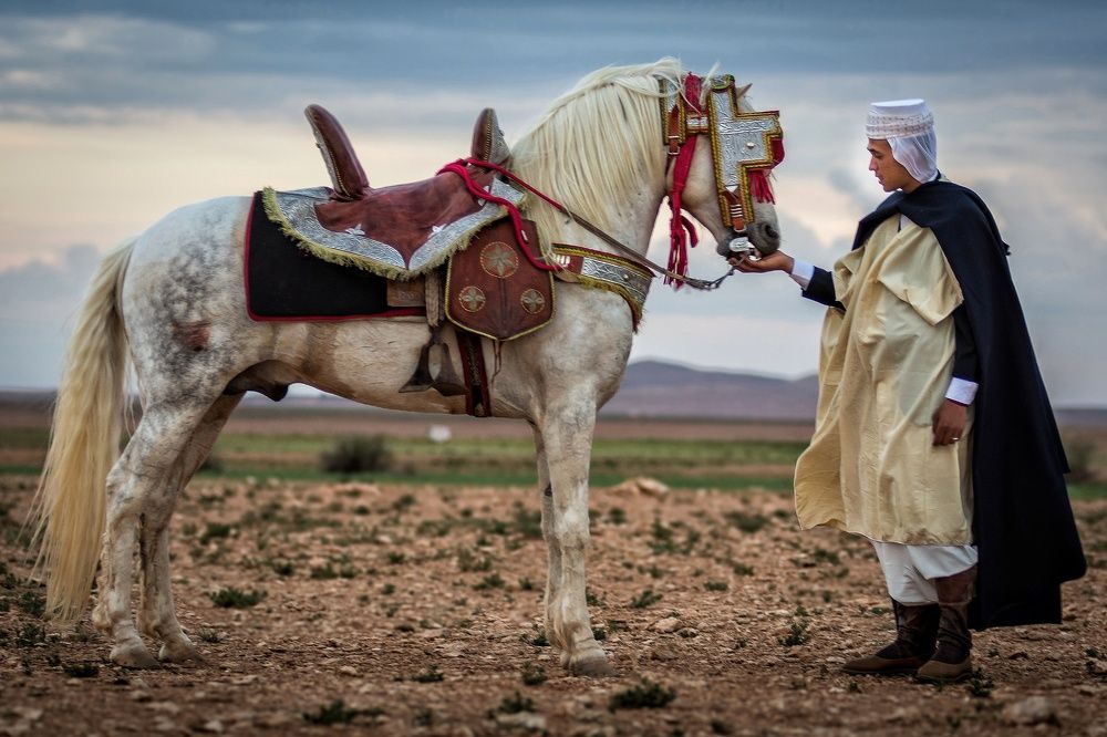 Photograph by Mohammed Elamine Belkhir