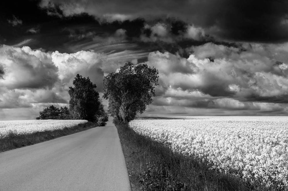 Photograph by Agnieszka Szadowiak