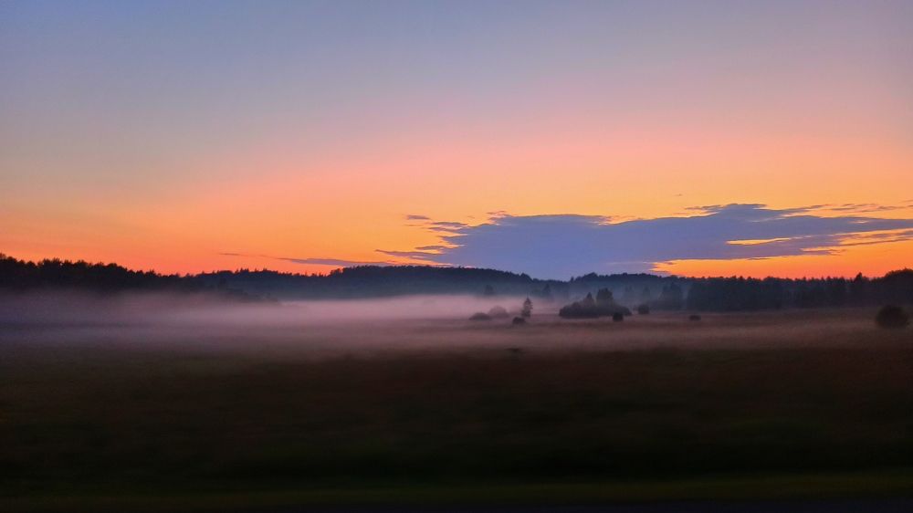 Вечерний туман