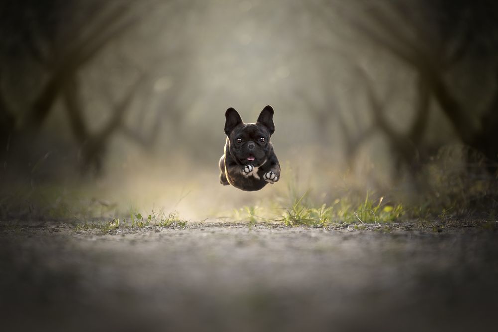 I believe I can fly!