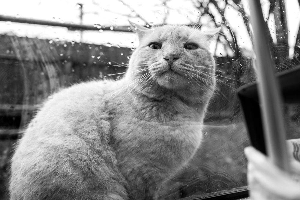 Photograph by Валентина Михайлова