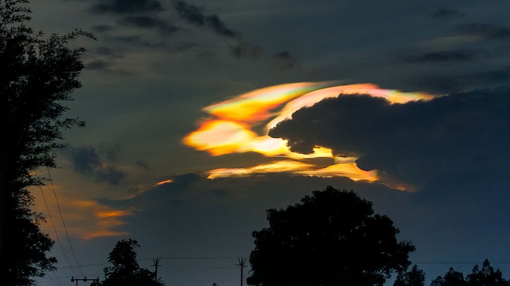 Photograph by UDAY SHANKAR RAKSHIT