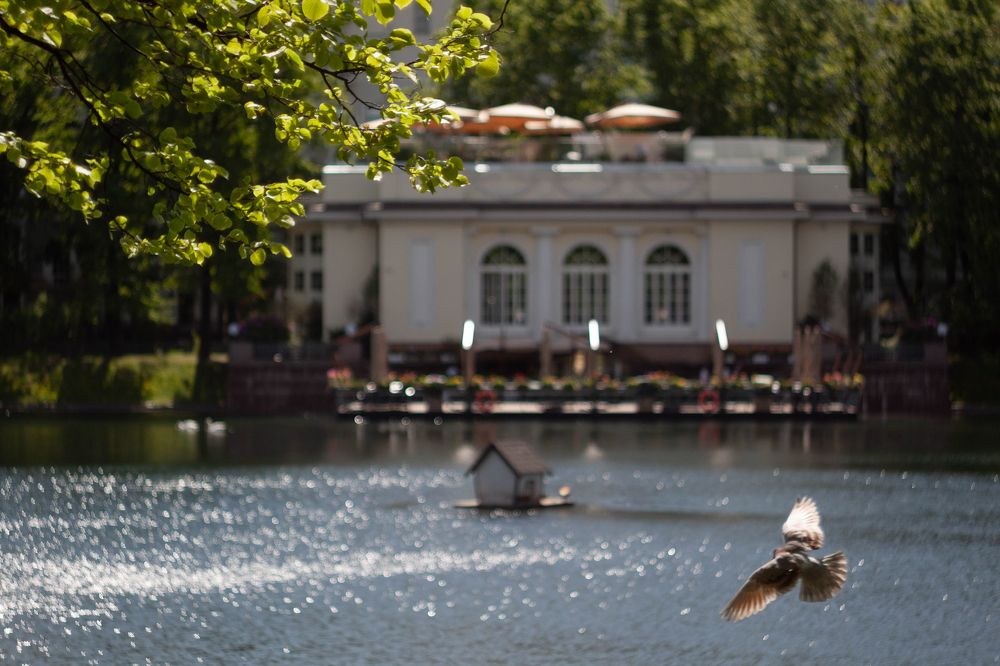 Photograph by Mihail Voronin