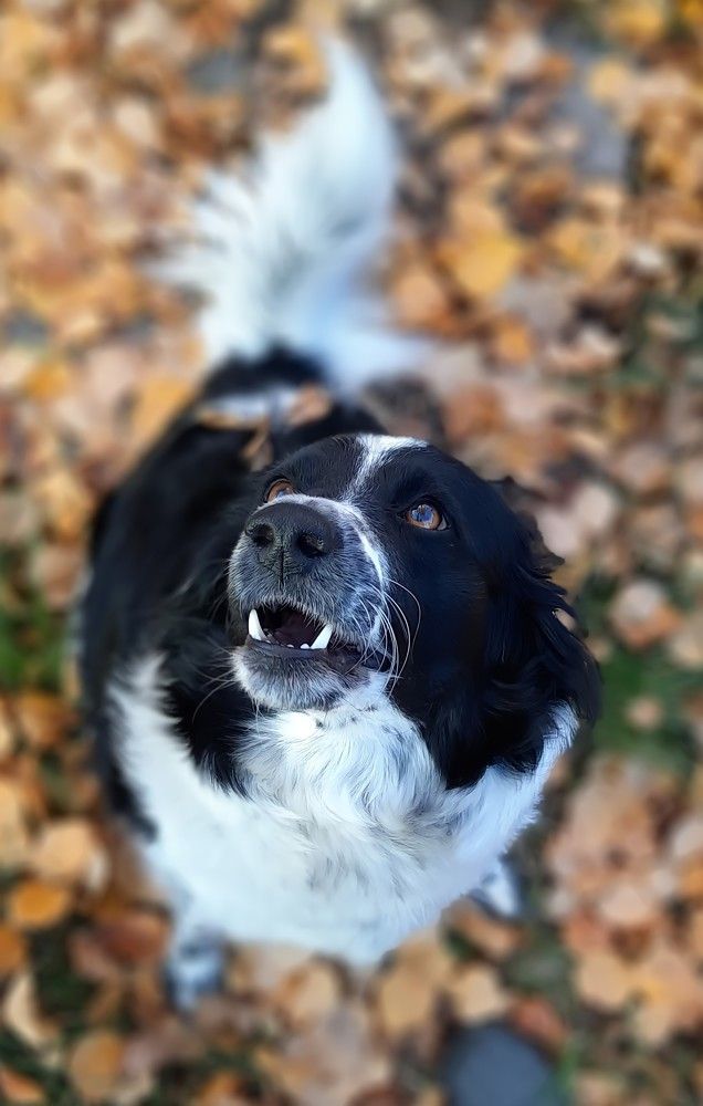 Photograph by Дина Чаица