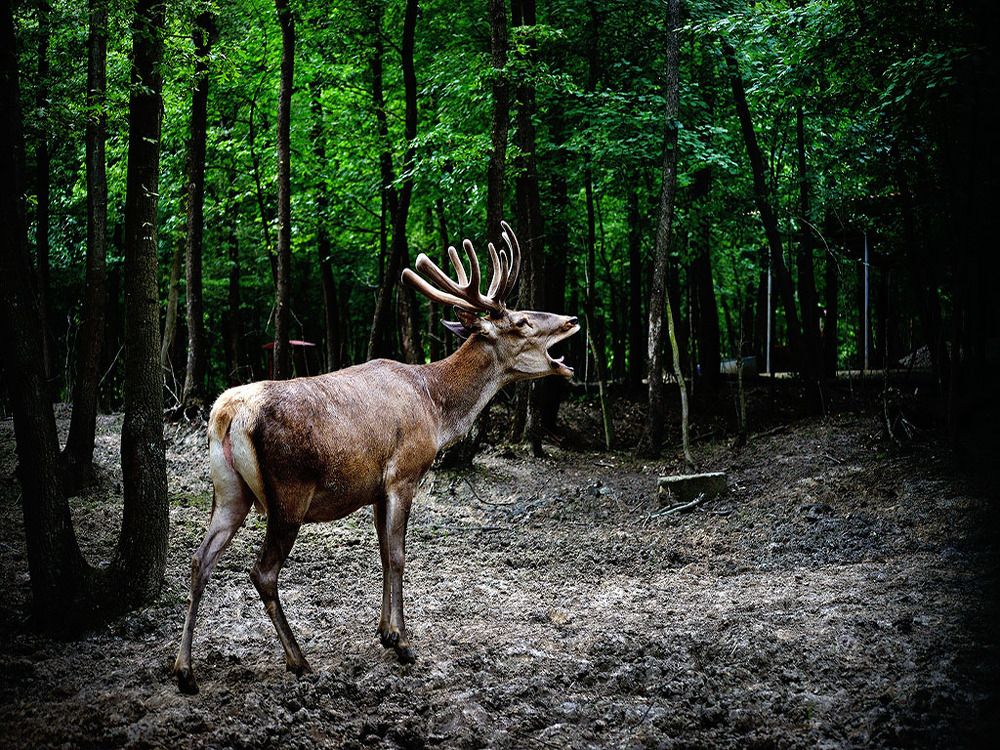 Photograph by Bekir Yesiltas