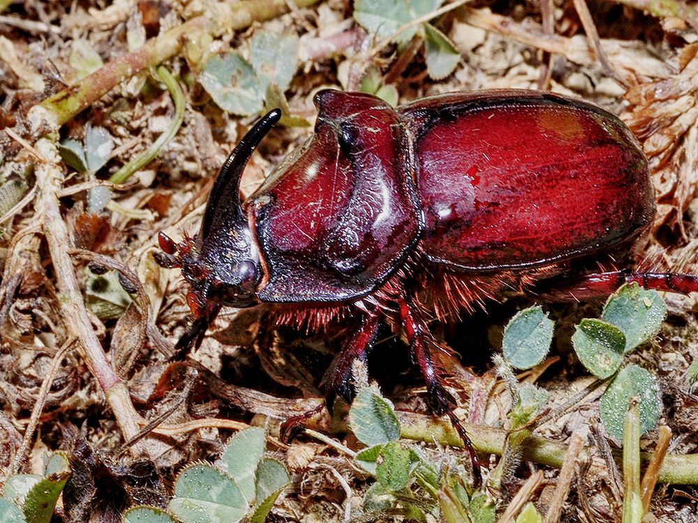 Photograph by Bekir Yesiltas