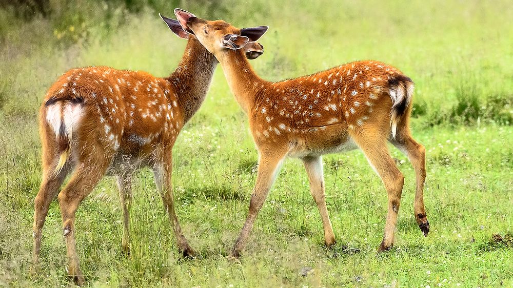 Photograph by Сергей Скоробогатов