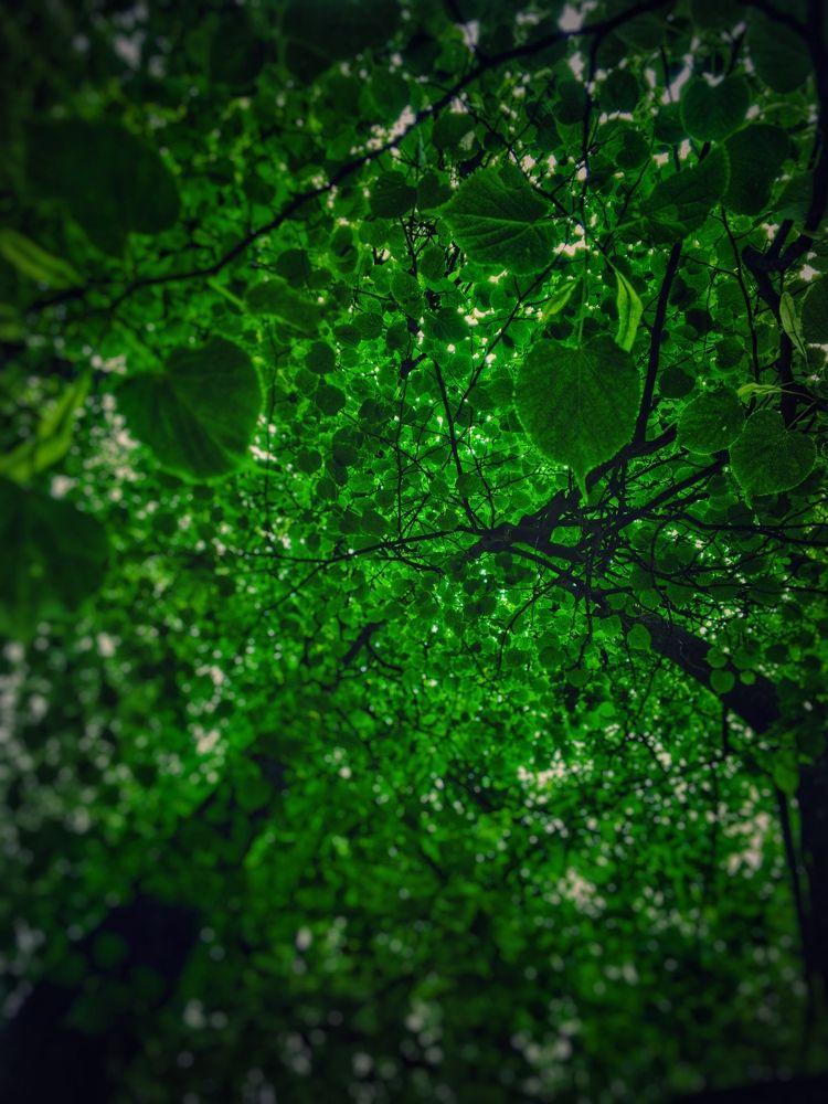 Photograph by Georgy Pesko