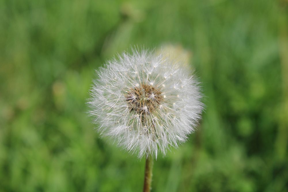 Photograph by Жанна Cысоева