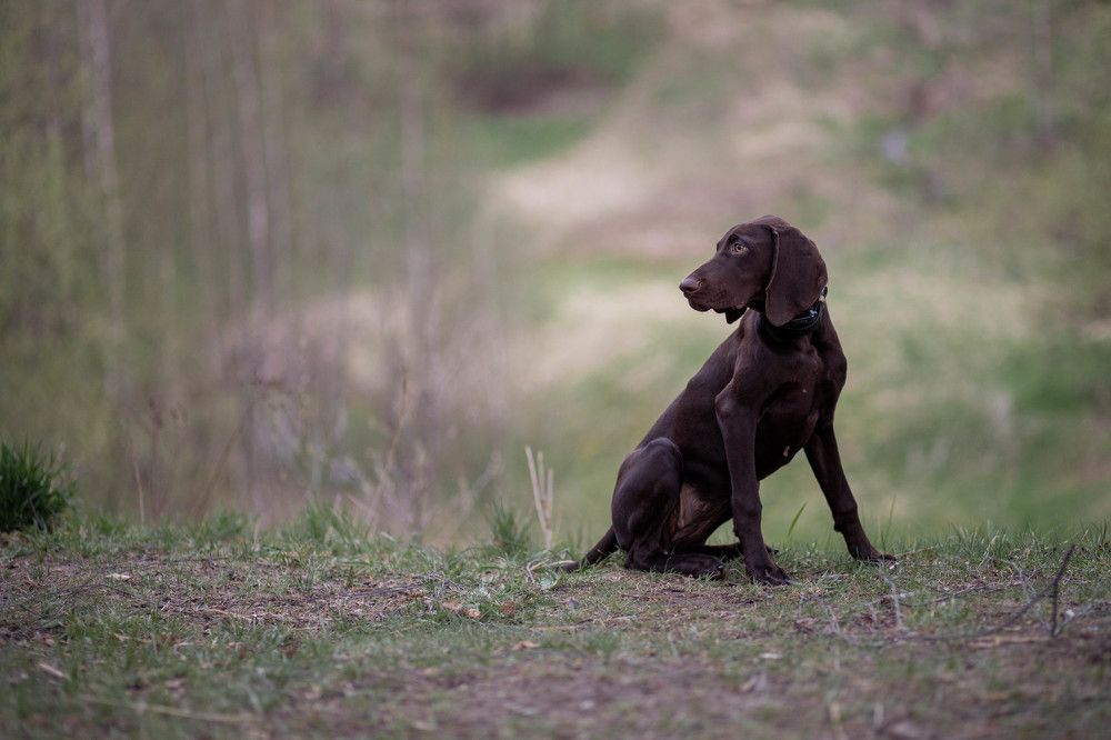 Photograph by Виктория Король