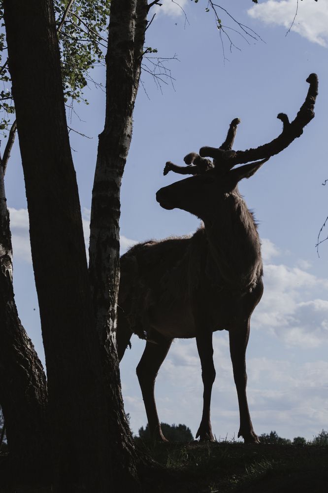 Photograph by Марина Кирпичникова