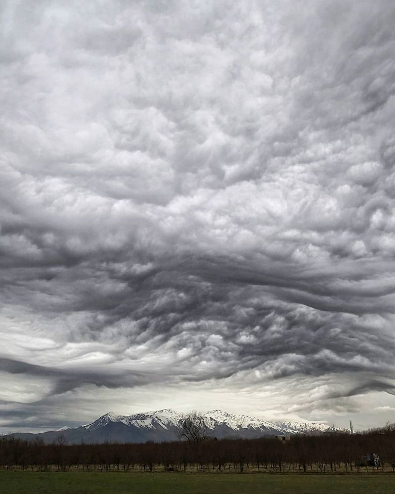 Photograph by mojtaba nazari