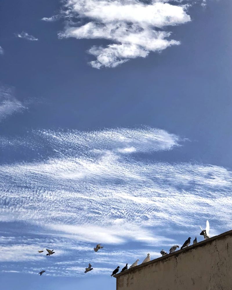 Photograph by mojtaba nazari