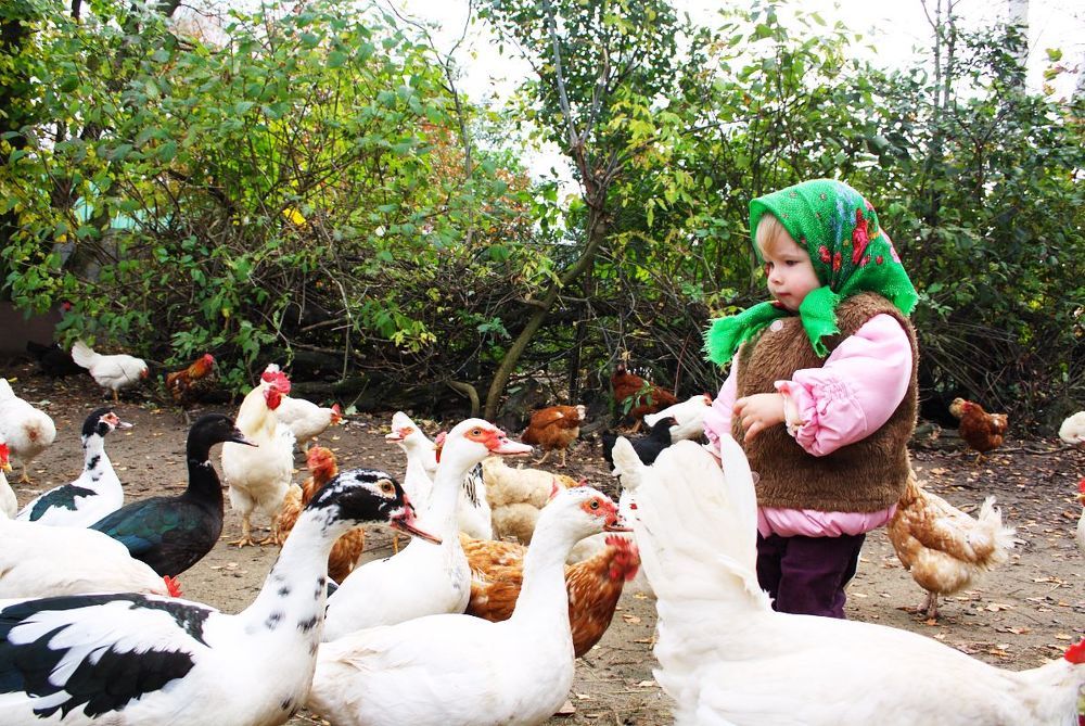 Photograph by Ирина