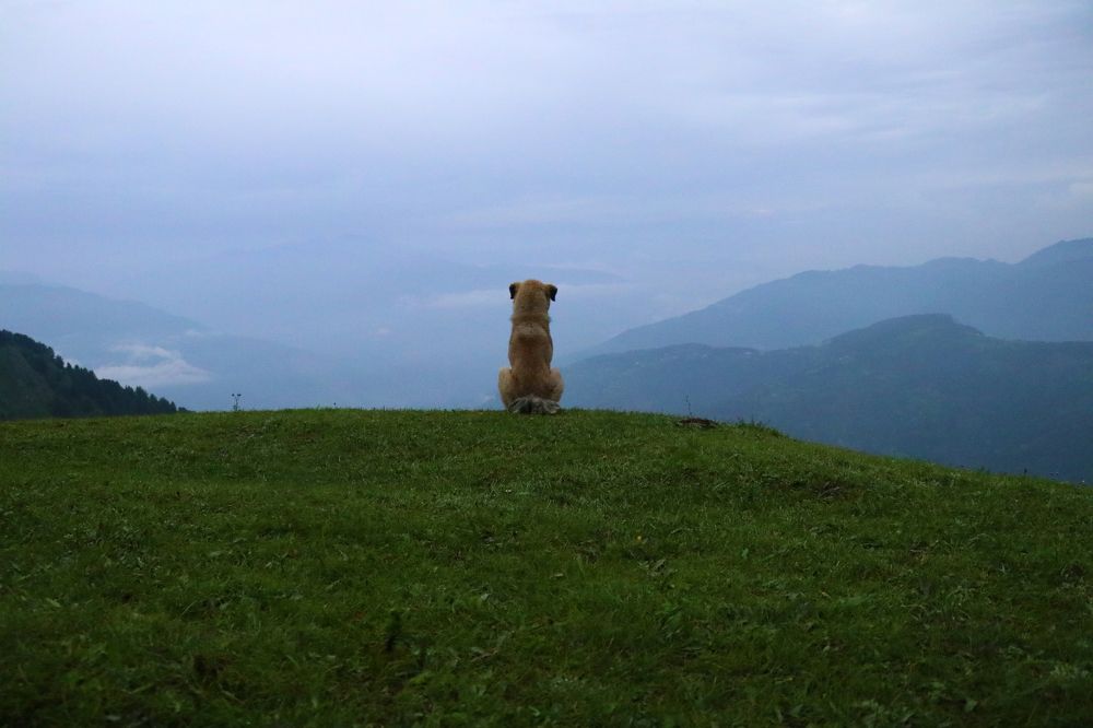 All together different