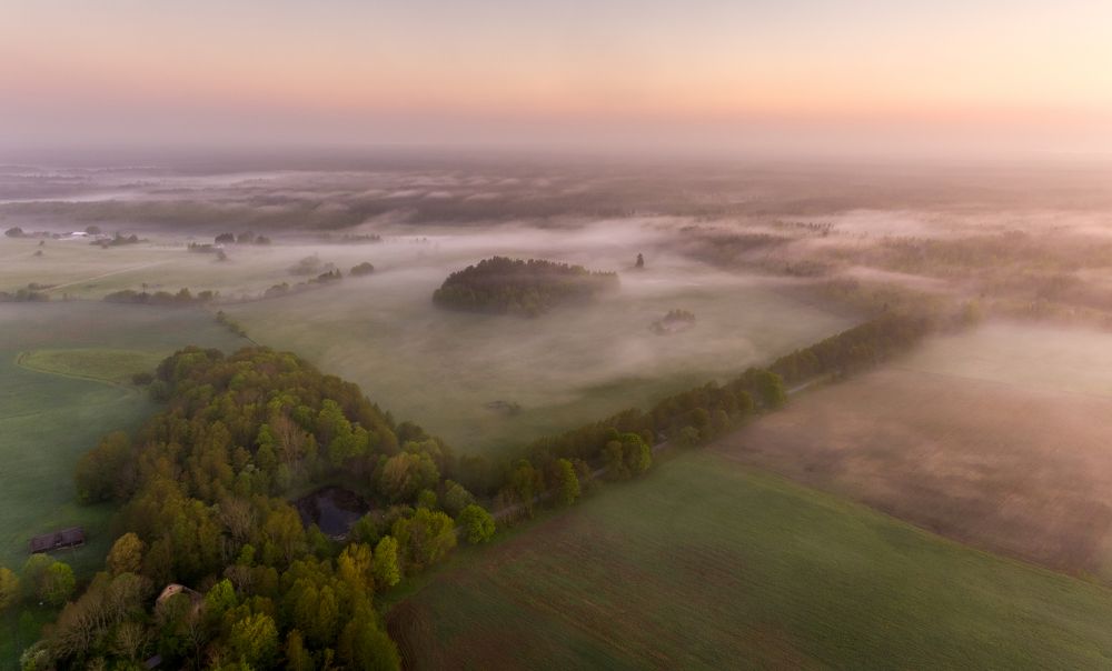 Photograph by Элвис Антсон