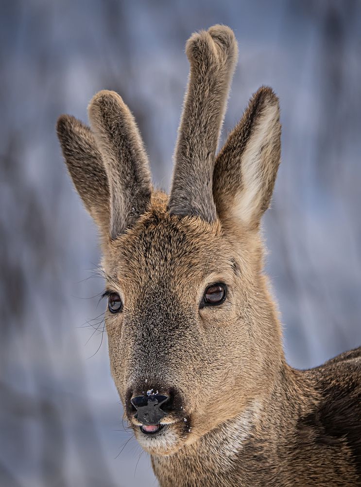 Photograph by Ольга Мусиенко