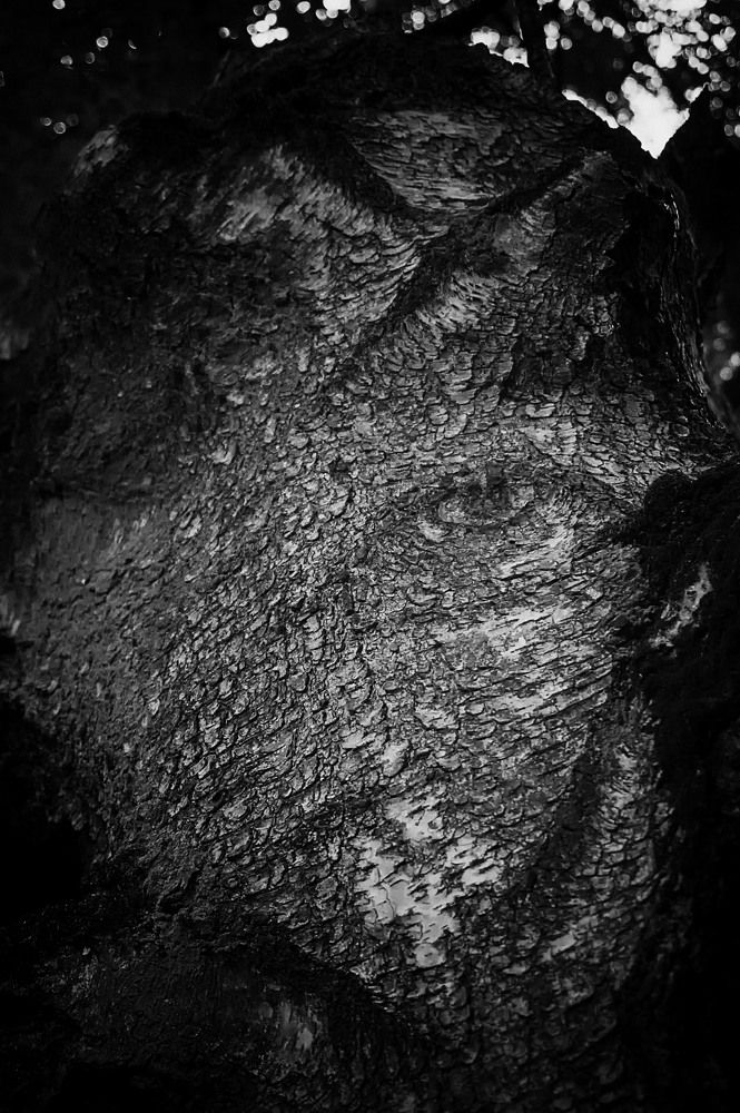 Потусторонний мир