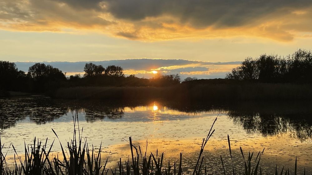 Photograph by Lila Sabbaghian Rad