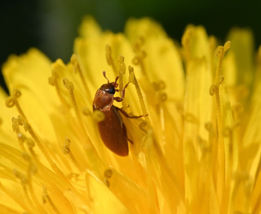 Photograph by Алексей Гордеев