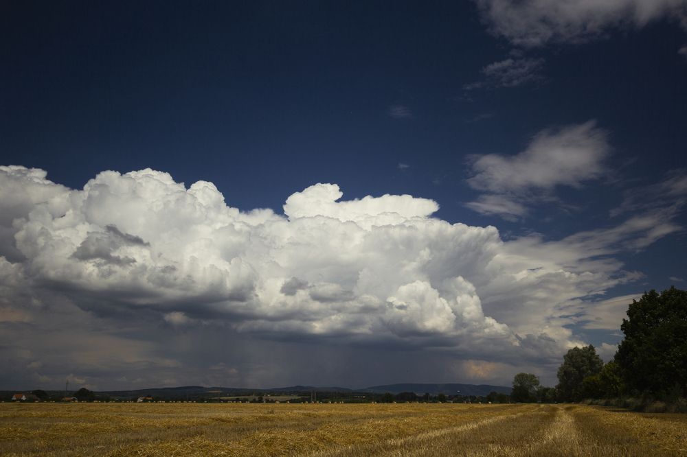 Photograph by Mihai Romeo Bogdan