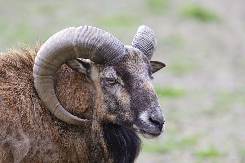 Photograph by Mihai Romeo Bogdan