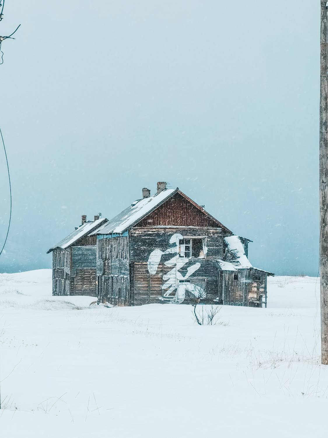 Photo #6132512