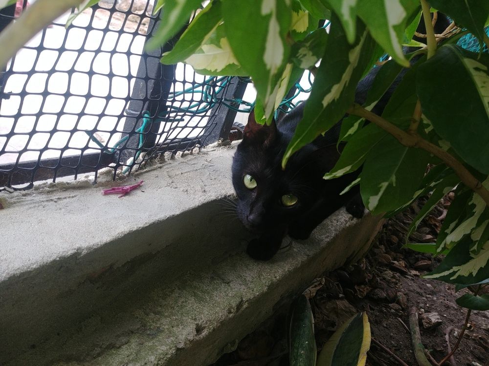 Photograph by Katty Maria Escalante Leguia