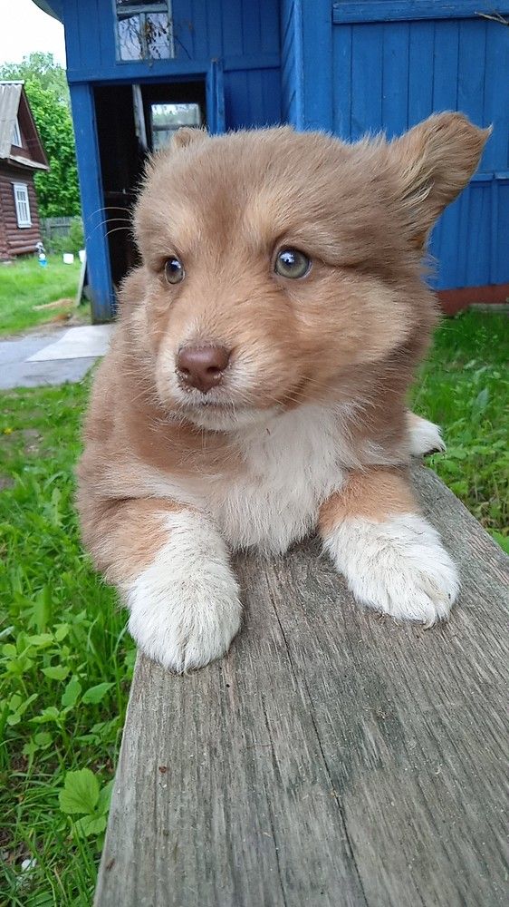 Photograph by Роман Шмаков