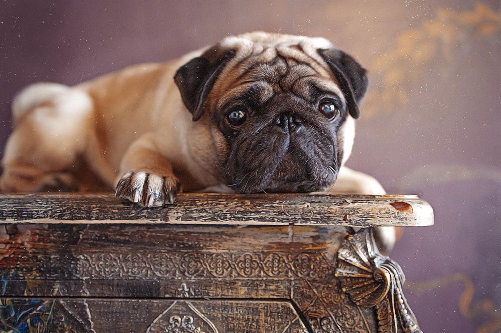 Доброта и верность