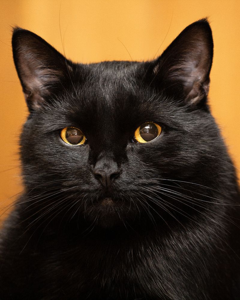 Photograph by Максим Салихов