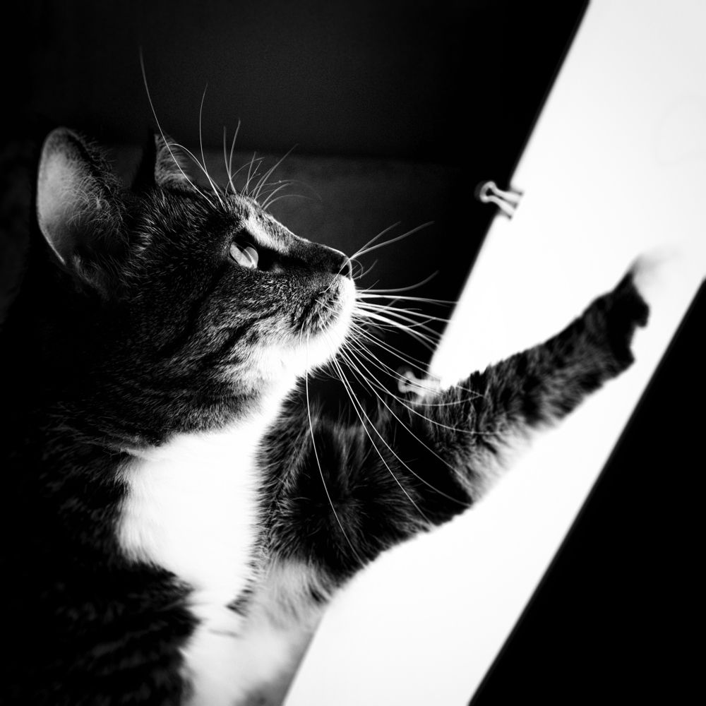 Photograph by Максим Салихов