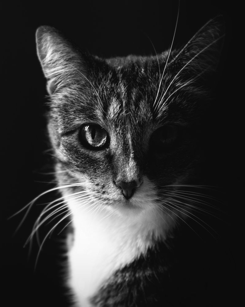 Photograph by Максим Салихов