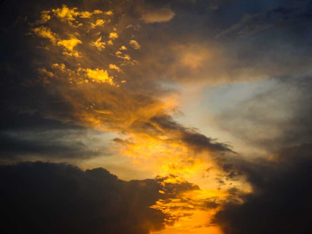 Photograph by Sneha Mithra H