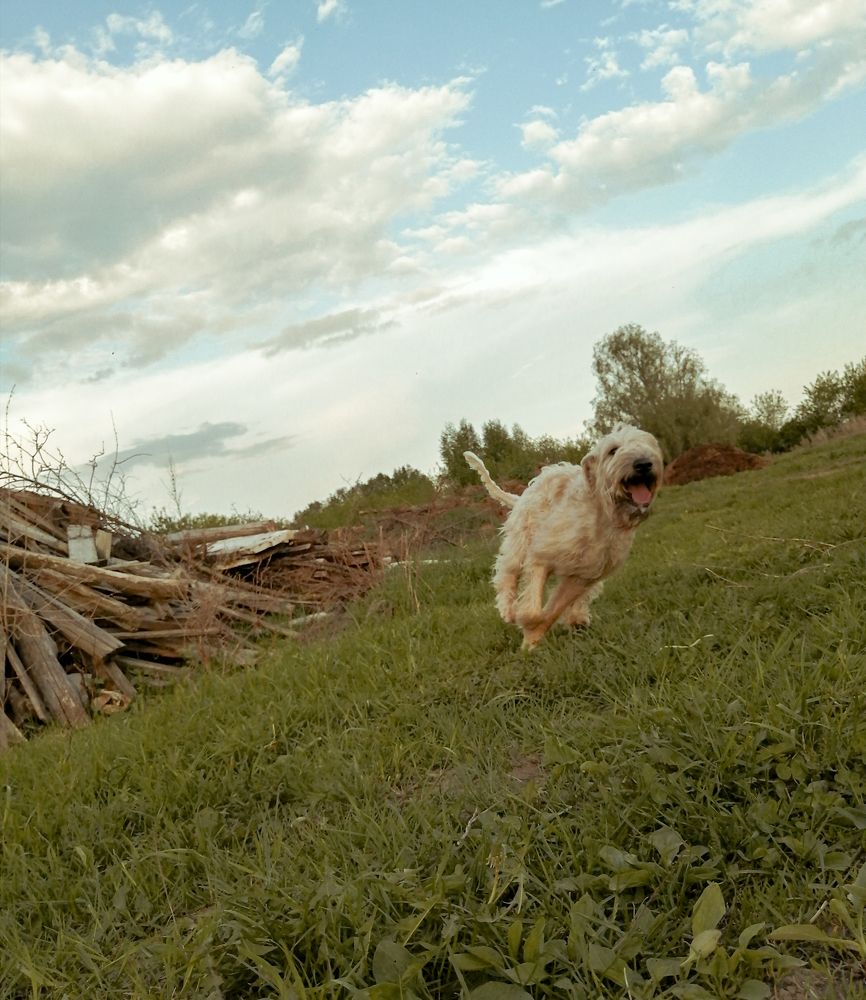 Photograph by Марина