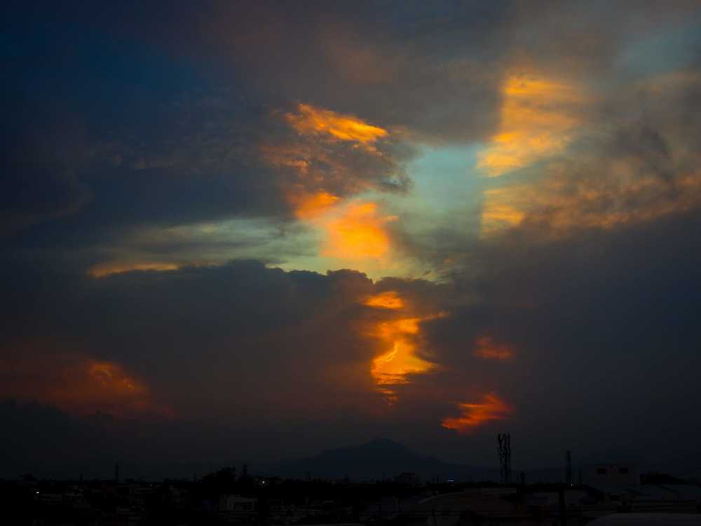 Photograph by Sneha Mithra H