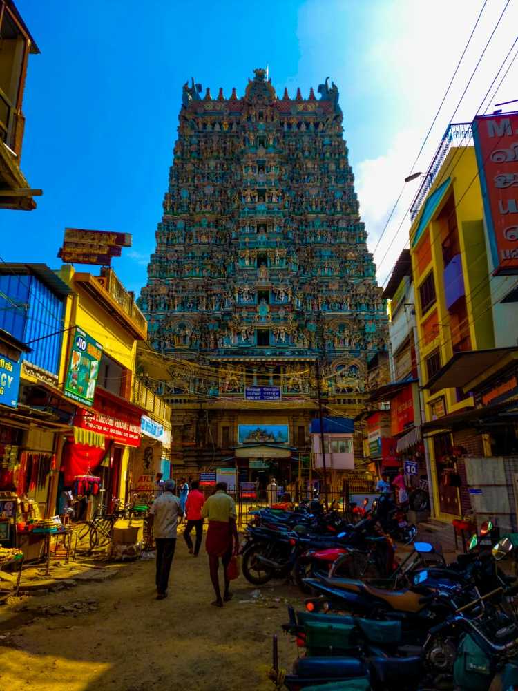 Photograph by Sneha Mithra H